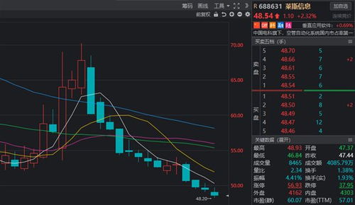 萊斯信息2024年上半年持續(xù)虧損，軟件銷售承壓成主因