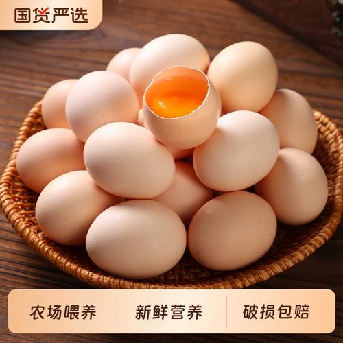從谷物農場到餐桌 一枚50g鮮雞蛋的品質與日常