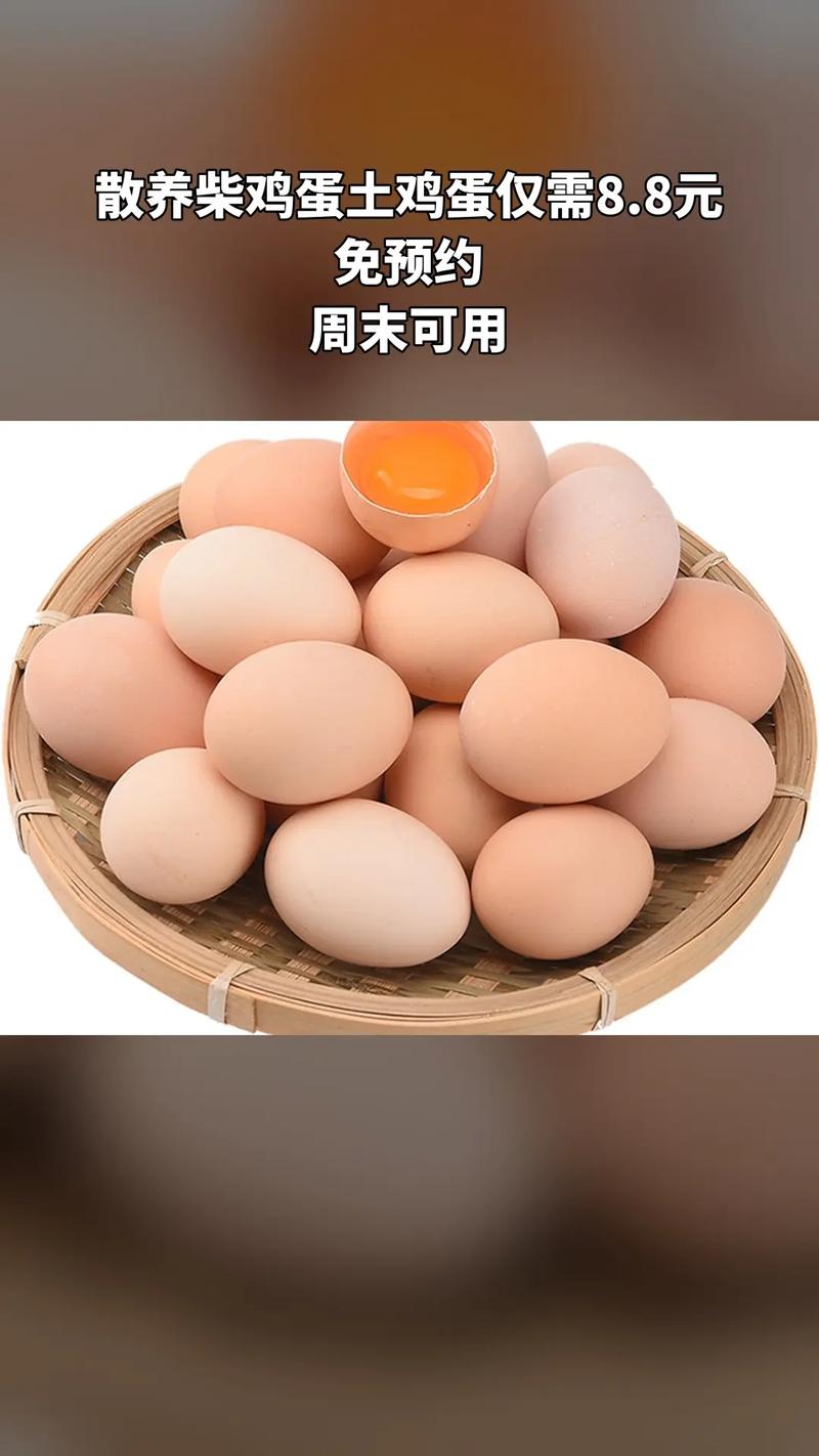 鮮蛋小屋 散養柴雞蛋與土雞蛋的火鍋新吃法
